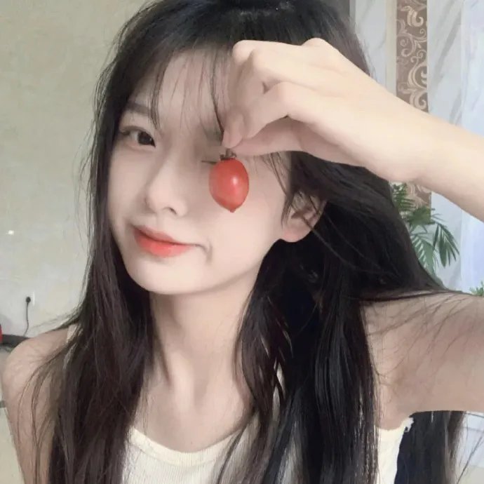 完美独裁